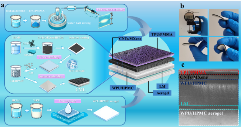 西南大学陈磊副教授《Nano Energy》：仿生多层柔性自供电压力传感器，助力雪崩救援与极地军事伪装